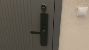 Замок Agara A100 после года эксплуатации