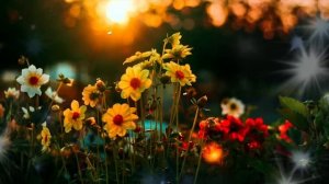 Бог говорит: Это ваш последний спасательный круг, чтобы получить Мое послание!!! Вы 🌈Иисус говорит