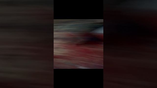 милый котик 7 серия