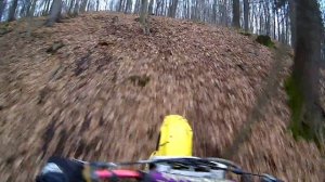 suzuki rm 250  vs suzuki rm 250