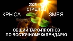 ОБЩИЙ ТАРО-ПРОГНОЗ НА 2025 ГОД ПО ВОСТОЧНОМУ КАЛЕНДАРЮ. СТРЕЛЕЦ (КРЫСА-ЗМЕЯ)