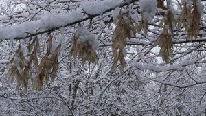 Сказочный день_13.01.2025