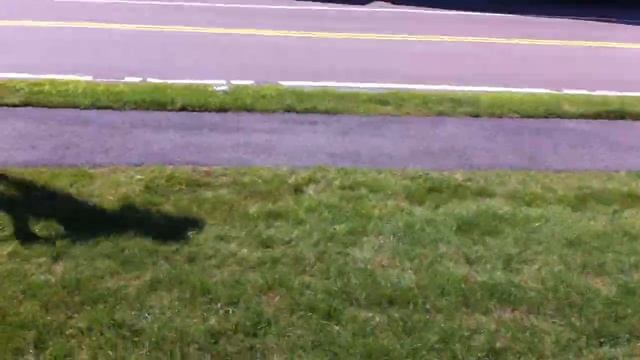 2012 Lexus LFA Startup Rev and LOUD acceleration!