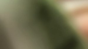 Еду купить Ковёр и продукты/Обзор покупок 👀.