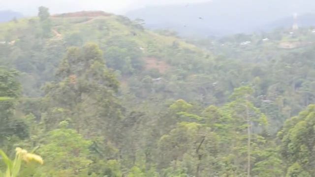 1-5 ශ්රේණි - පැළැටි හා ගස් වැල් 2 කොටස- |Palati Ha Gaswal смотреть онлайн