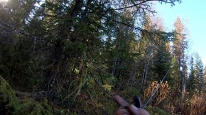 В поисках хариуса.За день на двух речках.