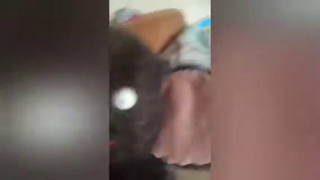 Коротко метражный фильм от (ЧЕБУРЕК play) моя жизнь. смотреть онлайн