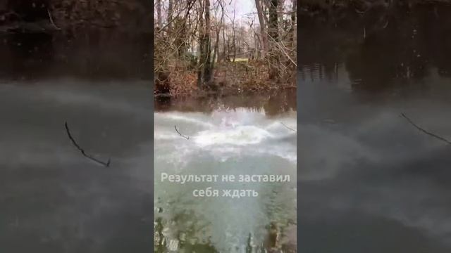 Зачем девушка полезла на дерево?