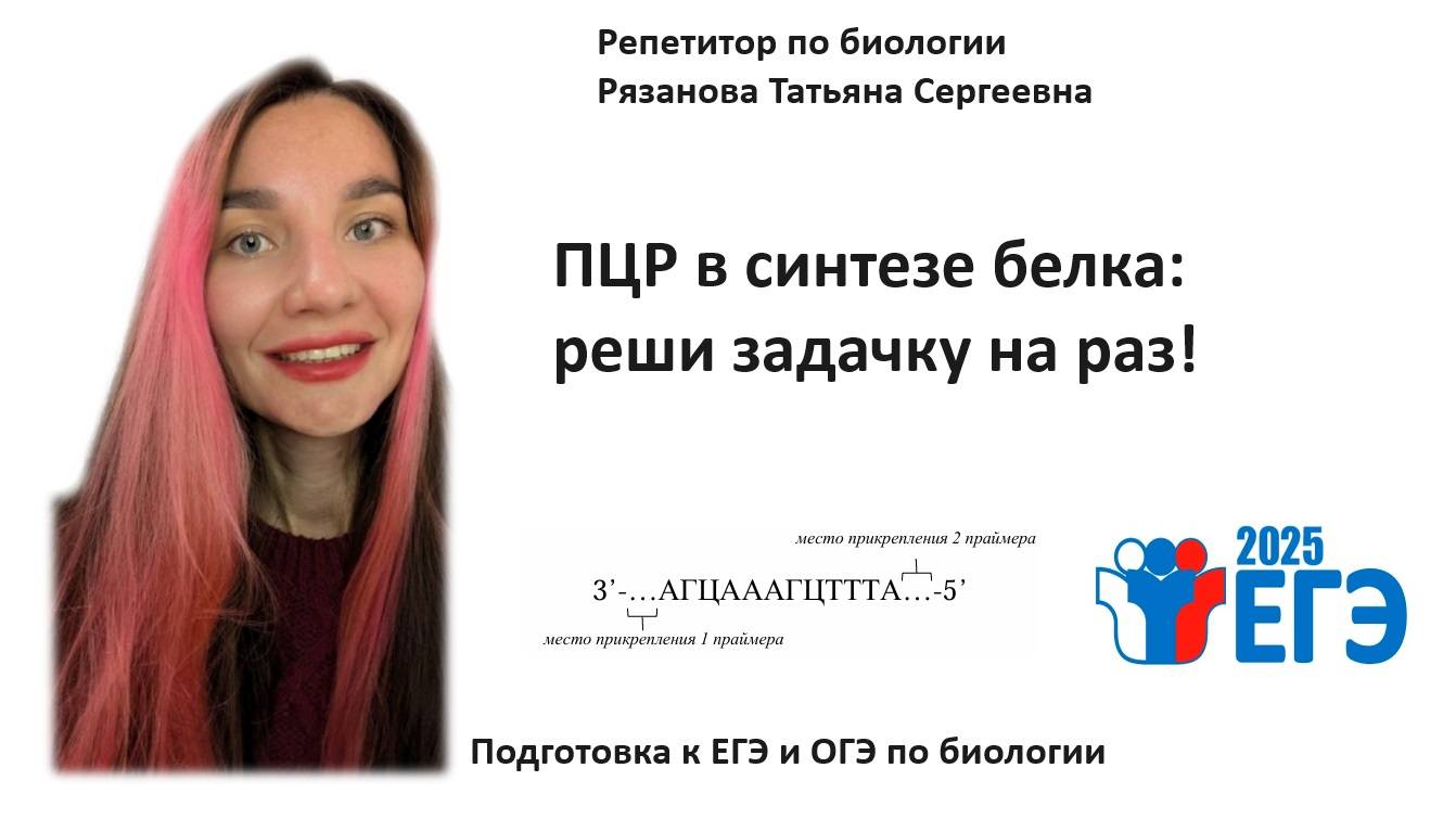 Новый тип задач на  СИНТЕЗ БЕЛКА - ПЦР, ФРАГМЕНТ ГЕНА