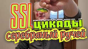 Цикады Серебряный Ручей.Активная приманка на голодного Хищника. SSL