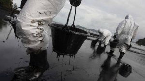 Российский учёные придумали способ борьбы с загрязнением нефтью в Арктике