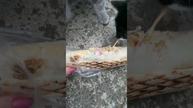ШАУРМА ДЛЯ КОТИКОВ/ СНАЧАЛА РОЗНЮХАЛИ А ПОТОМ ПОНЯЛИ, ЧТО ВКУСНО/ ОБЕД ДЛЯ КОТИКОВ🐈🐈🐈 смотреть онлайн