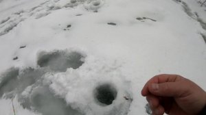 Хариус зимой.Клевало,как в сказке,но...День мелочи.