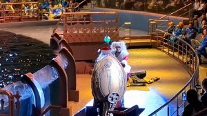 шоу 2025 москвариум