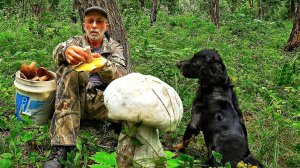 НАСТОЯЩИЙ БЕЛЫЙ гриб. Так вот он какой! Грибы Дальнего Востока.