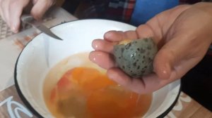 Завтрак с яиц Баклана