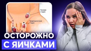 У ВАШЕГО РЕБЁНКА НЕ ОПУСТИЛИСЬ ЯИЧКИ?! НЕ ПАНИКУЙТЕ!