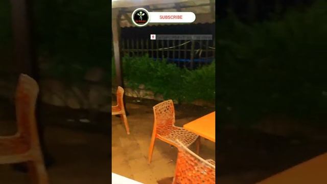 CHEESY CKN Lasagna Pondy #trending #short #shortvideo #firstshortvideo #youtubeshort #shorts #pasta смотреть онлайн