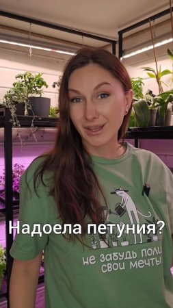 Надоела петуния? Лови классную подборку ампльных цветов