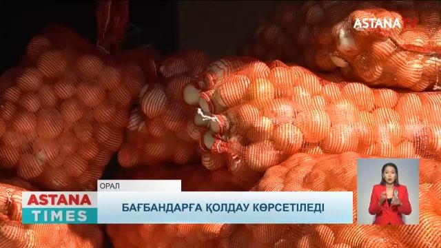 Экипаж мүшелері астан ұшынды. Шиеліде оқушы көз жұмды. Қатты жел Түркістан облысын әбігерге салды. смотреть онлайн