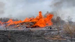 Пожар на пилораме. Подгорное