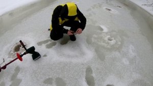 Хариус в декабре на таежной речке.Удачный день.