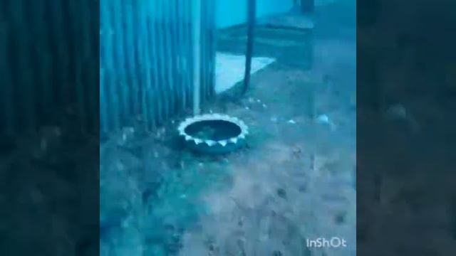 Как я пасу овец смотреть онлайн