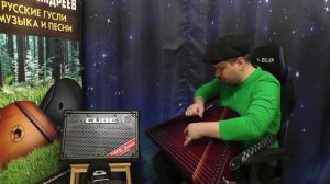 Гусли Тест звукоснимателя от Алексея Белякова Гусляр Андрей Андреев