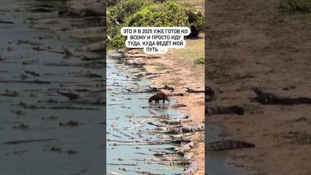 Меня уже ничто не остановит на пути к своей мечте😌