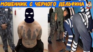 МОШЕННИК ИЗ "ЧЁРНОГО ДЕЛЬФИНА"