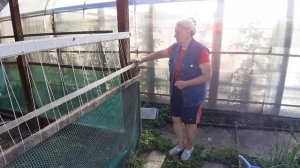 Укрепляем защитный барьер. Куры улетают😲 🐓🐔🐔