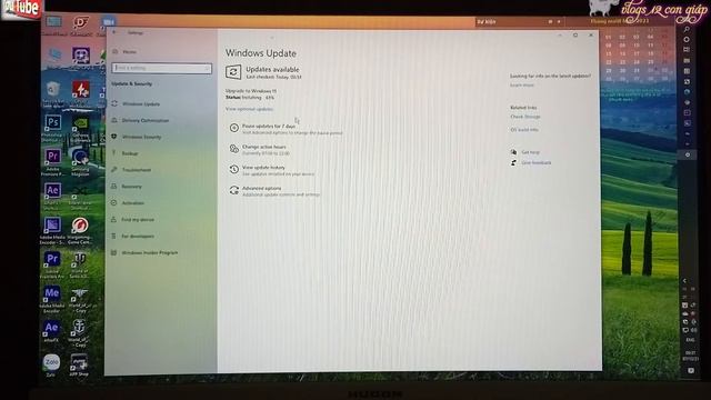 cập nhật win 11 trực tiếp NTN смотреть онлайн
