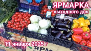 Краснодар - Ярмарка выходного дня на ул. Каляева - цены на продукты - 11 января 2025 г.