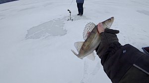 ЛОВЛЯ СУДАКА ЗИМОЙ. ИСКАЛИ И  ПОЙМАЛИ. зимняя рыбалка