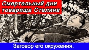 Смертельный дни товарища Сталина. Заговор его окружения.