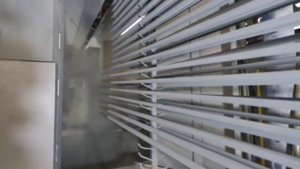 Полимерное окрашивание