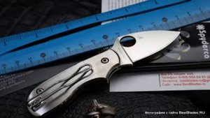 Нож Spyderco Squeak Titanium 154TIP