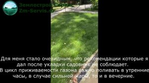 Восстановление рулонного газона после плохой приживаемости.