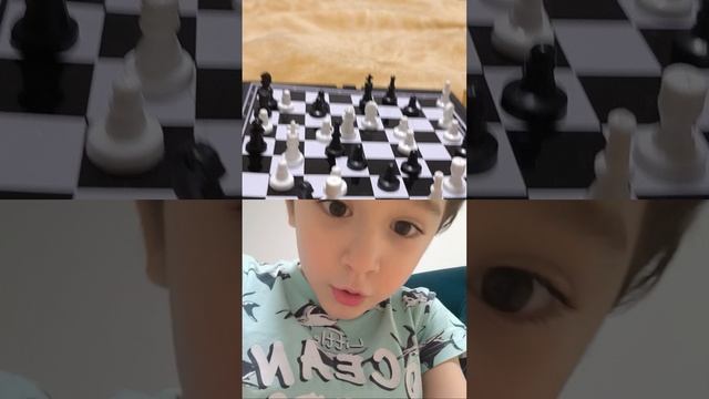 Как ходят разные фигуры в шахматах