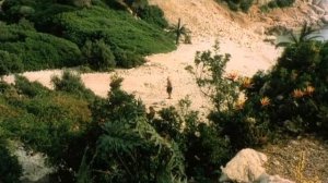 Синьор Робинзон   полный фильм