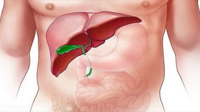Здоровье органов. Желчный пузырь смотреть онлайн