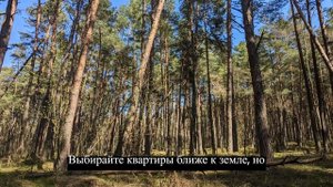 Васту: как заземлиться в многоэтажном доме