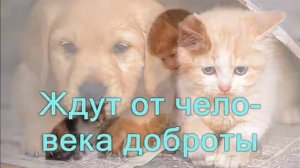 Горы, море и холмы