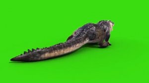 Green Screen Alligator Crocodile Reptile Attack - Footage PixelBoom