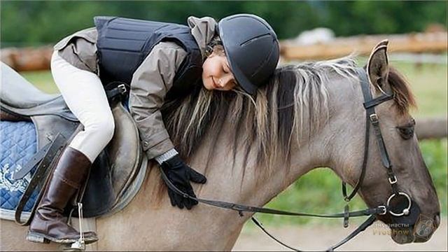 Урок № 10-5-1. Четыре перехода 3D BOOK смотреть онлайн