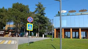 Золотая балка Шампанское