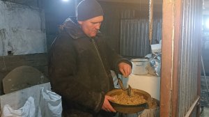 Ещё раз про ДОБАВКИ в кашу для НУТРИЙ. Что делать со злым самцом? 06.01.25.