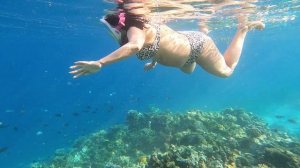 4.01.2025г. Риф отеля moreno spa resort 4. Хургада. Египет.