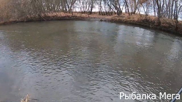 ЛОВЛЯ ЩУКИ ОСЕНЬЮ НА МАЛОЙ РЕКЕ.ПЕРВАЯ РЫБАЛКА НА ХИЩНИКА ПРОШЛА УДАЧНО.