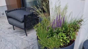 Озеленение террасы в ЖК Ордынка